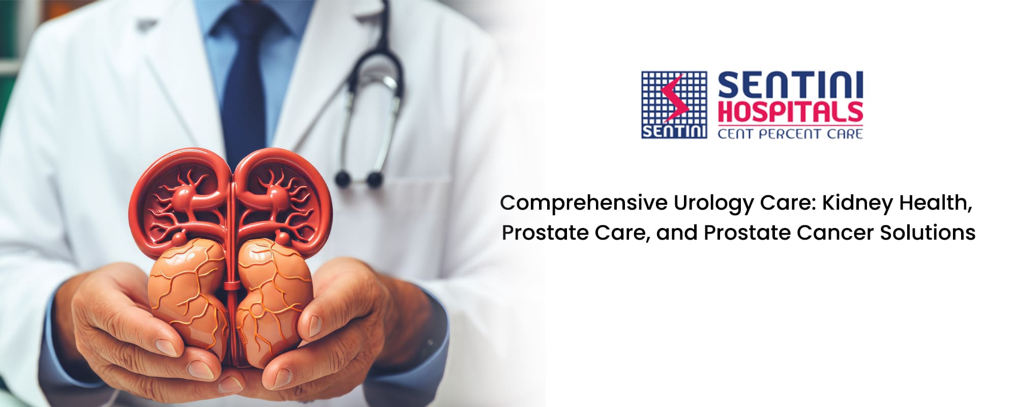 Comprehensive Urology Care: Kidney Health, Prostate Care, and Prostate Cancer Solutions